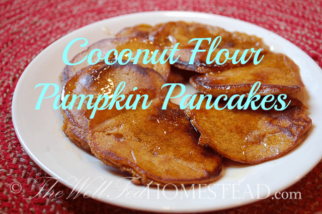 GAPS Breakfast: Coconut Flour Pumpkin Pancakes with Cinnamon Syrup
